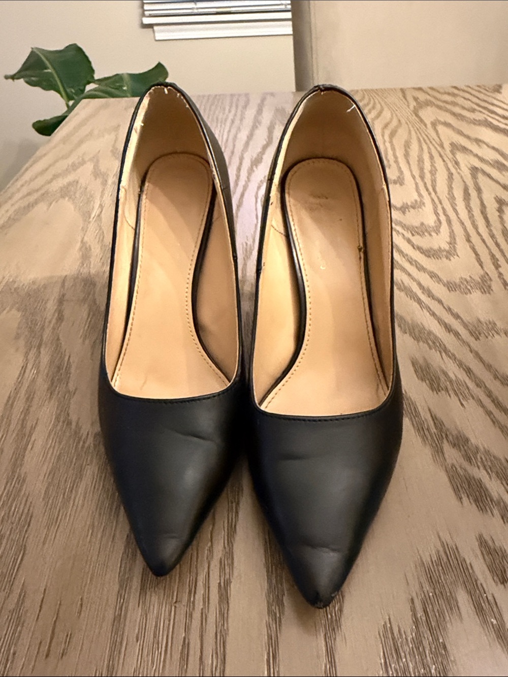Catherine Malandrino Classic Black Pointed-Toe Women’s Pumps